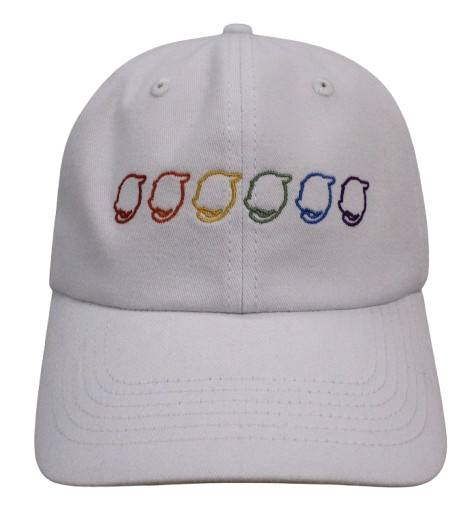 WordPress Wappu Rainbow Dad Hat